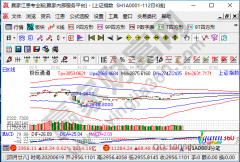 投资者看盘、技术分析等