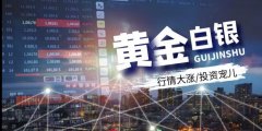 forex嘉盛外汇投资现货白