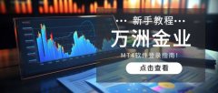 找到官方网站的链接并点击进入—mt4中文官网