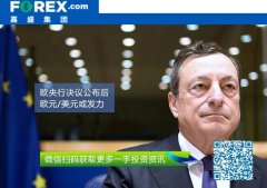 forex嘉盛外汇市场参与者