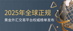 其受到严格的国际金融监